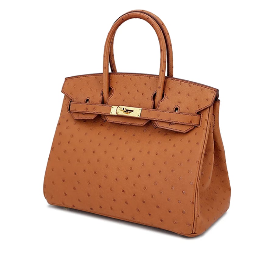 Hermes Birkin 25cm bag in luxurious honey color with handles