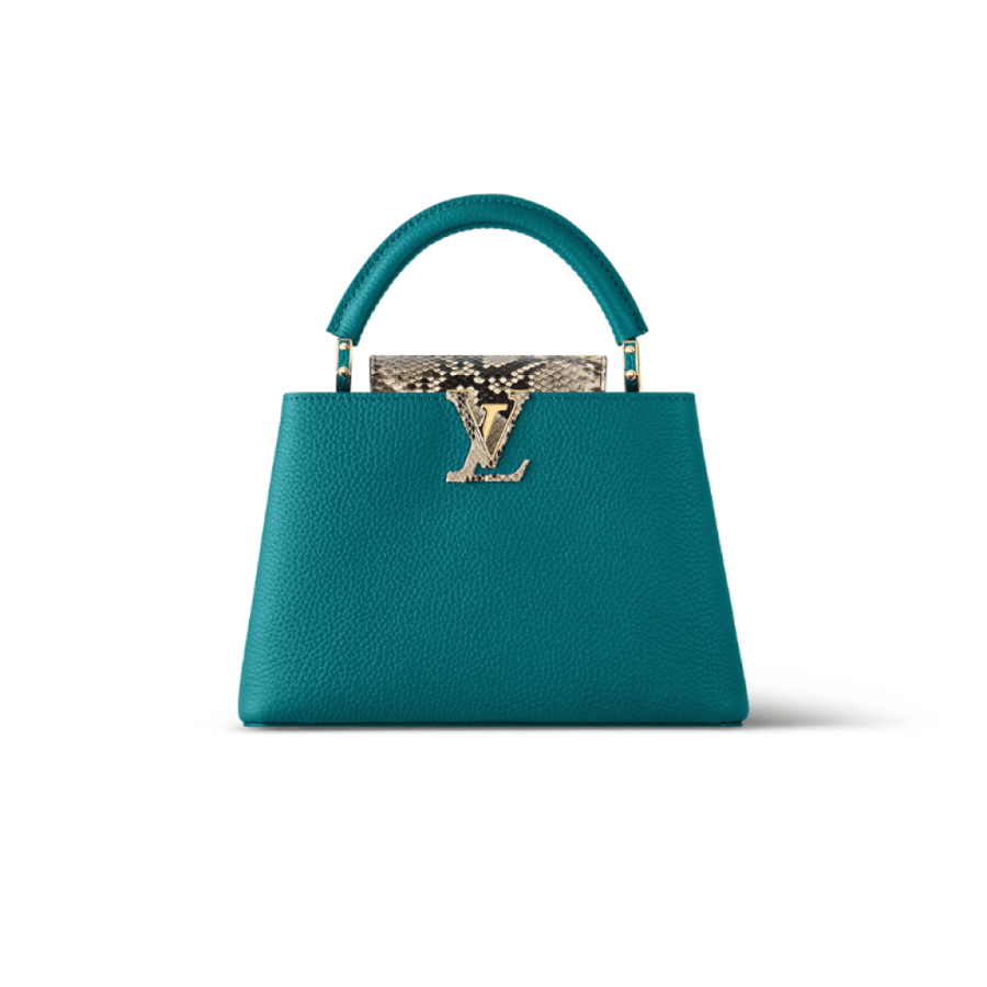 Louis Vuitton Capucine BB