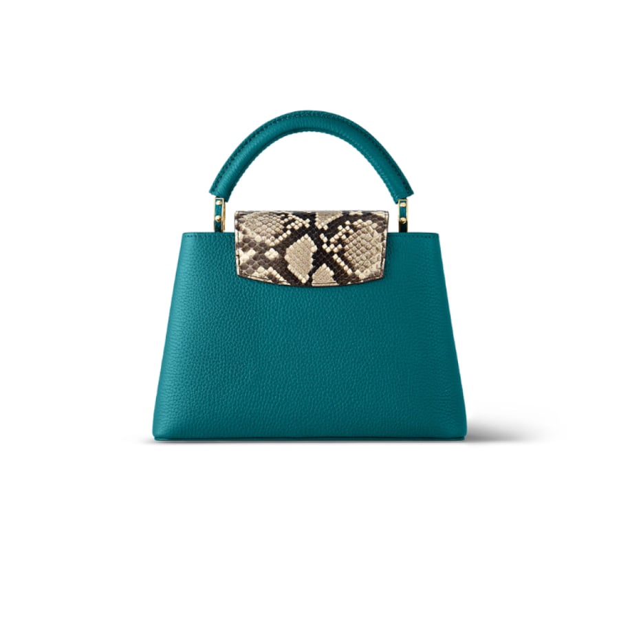 Louis Vuitton Capucine BB