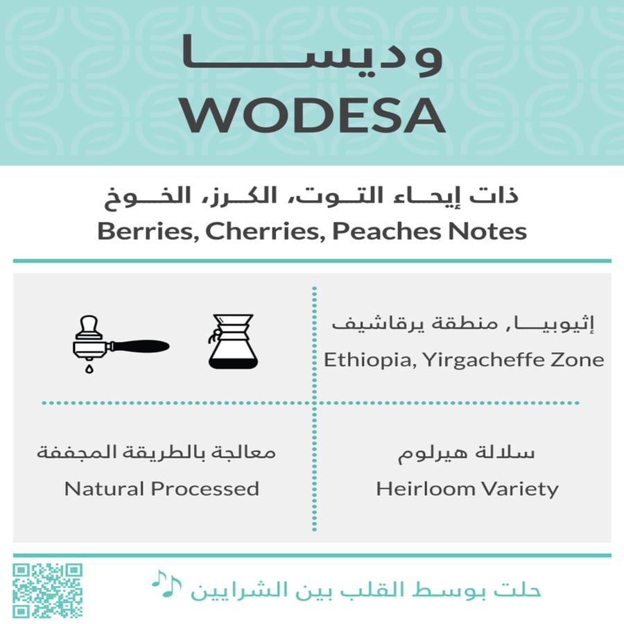اثيوبيا وديسا - كفة | Wodesa