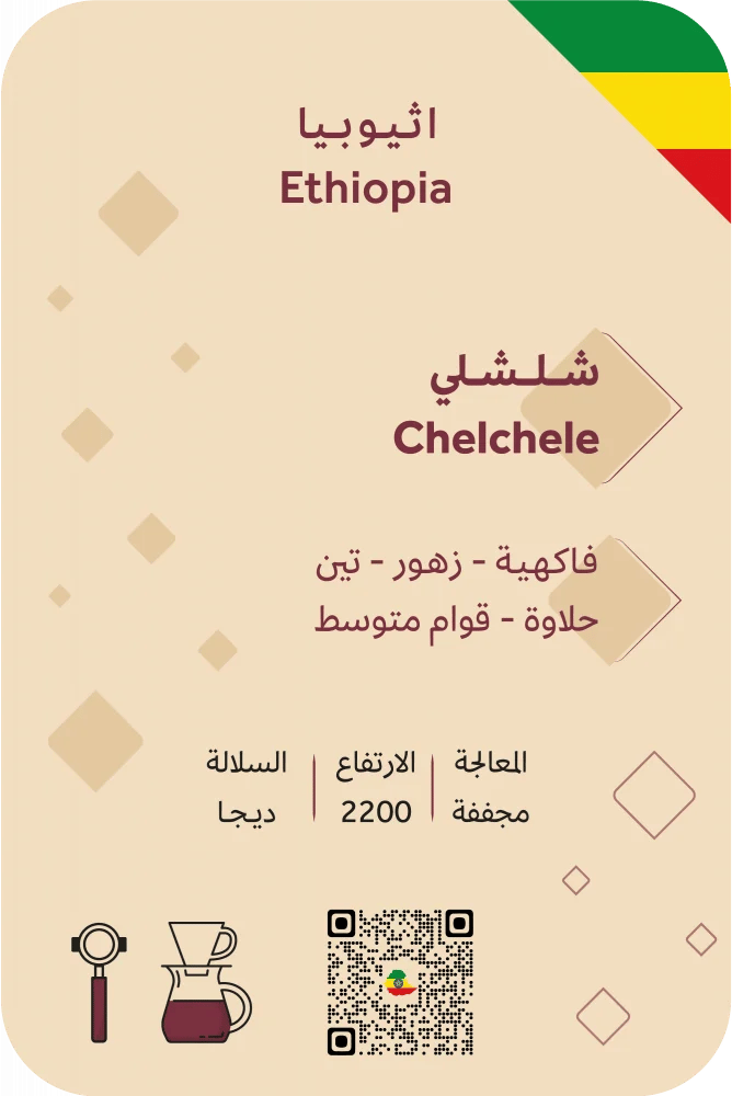 اثيوبيا شلشلي - بالم | Chelchele