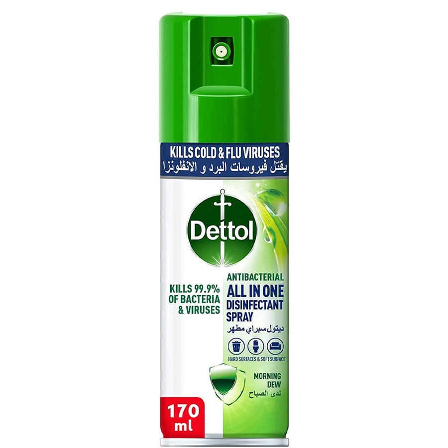 Dettol Disinfectant Spray Morning Dew kills 99.9% of germs 170 ml