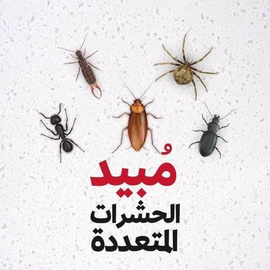 بخاخ ريد متعدد الاستخدامات لقتل الحشرات - 400 مل