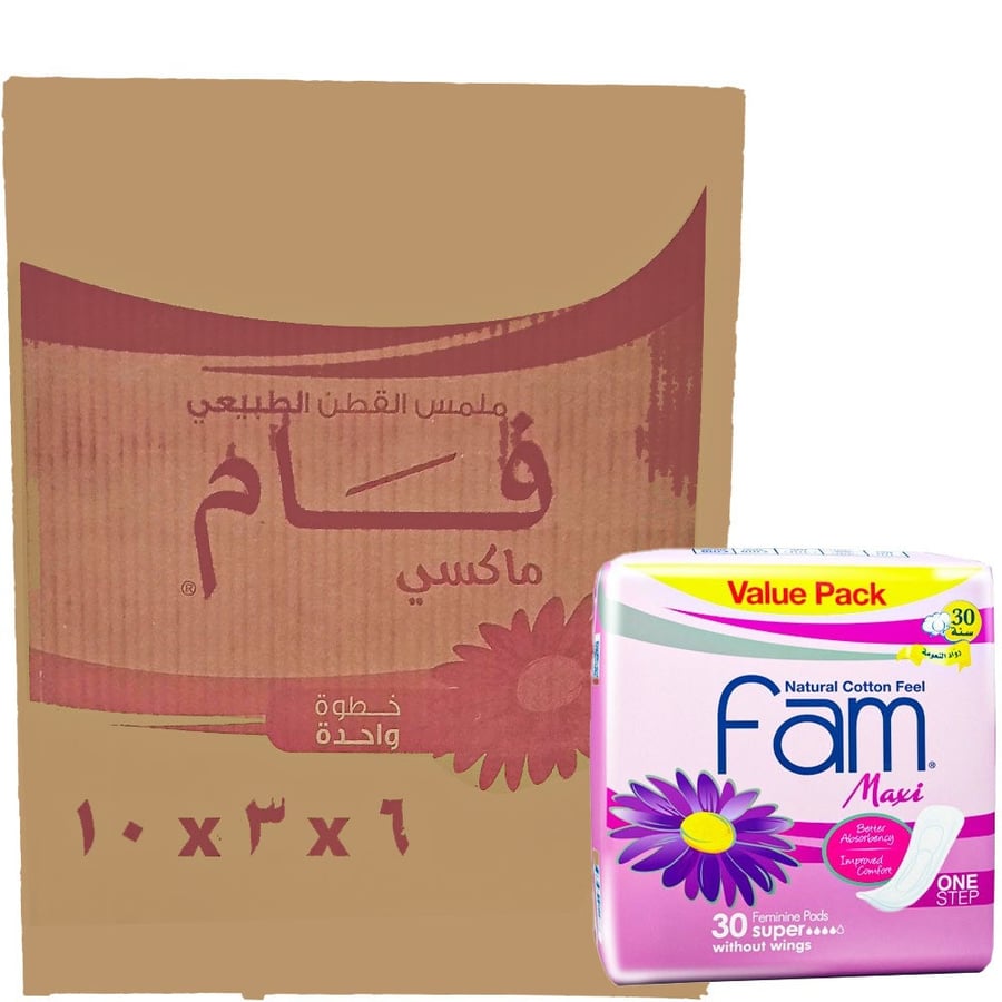 [Carton] Fam Sanitary Napkins Maxi Large Size Without Wings 30 Pieces