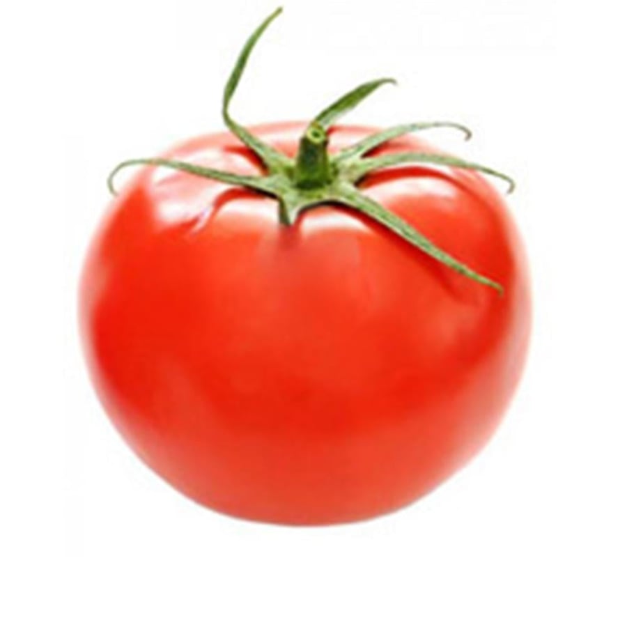 طماطم فرسان ف1 (باكت) (1000 بذرة)