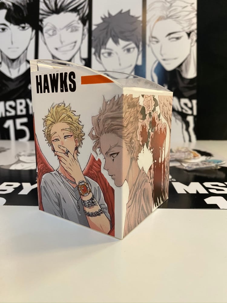 Hawks Pencil Box