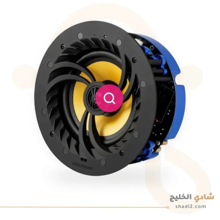 Lethi Audio slave 6.5 inch