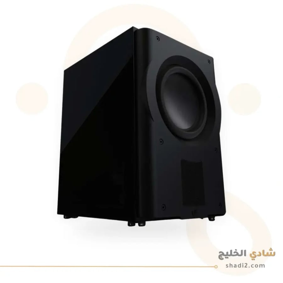 Perlisten R210s Subwoofer