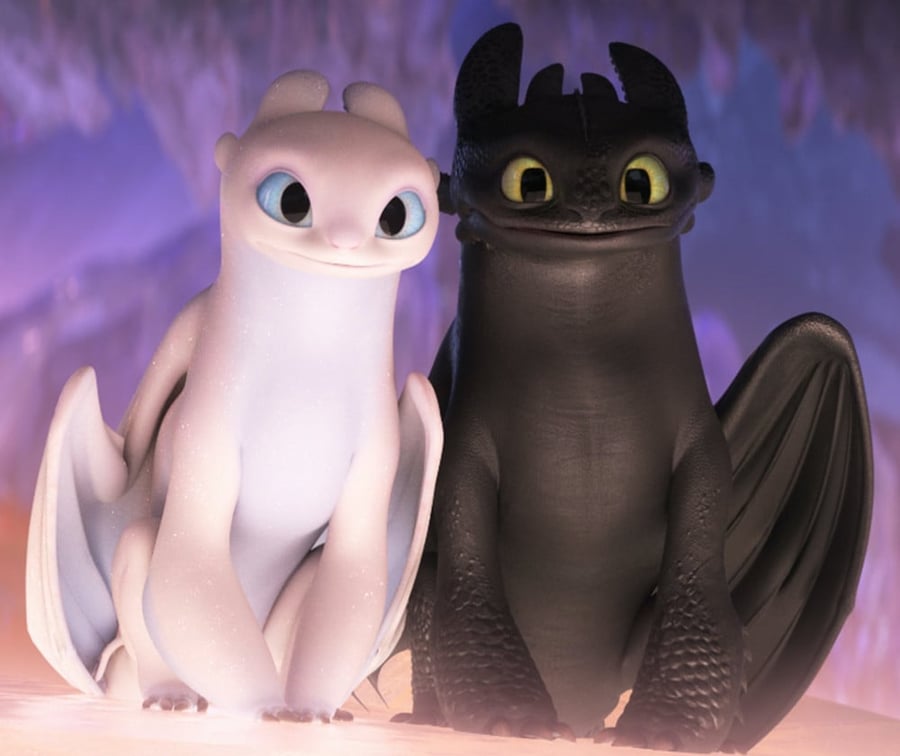 خاتم نايت ولايت فيوري - how to train your dragon
