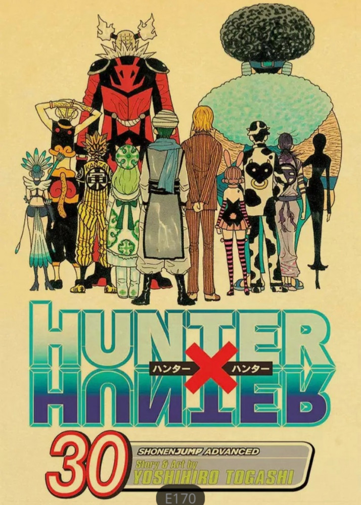 بوستر هنتر - hunter x hunter