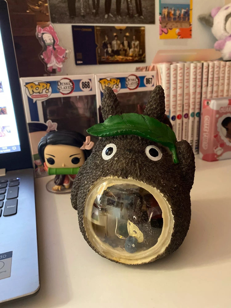 اضاءة تورو - ghibli