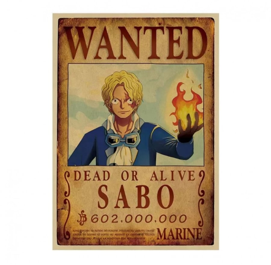 بوستر ون بيس- one piece