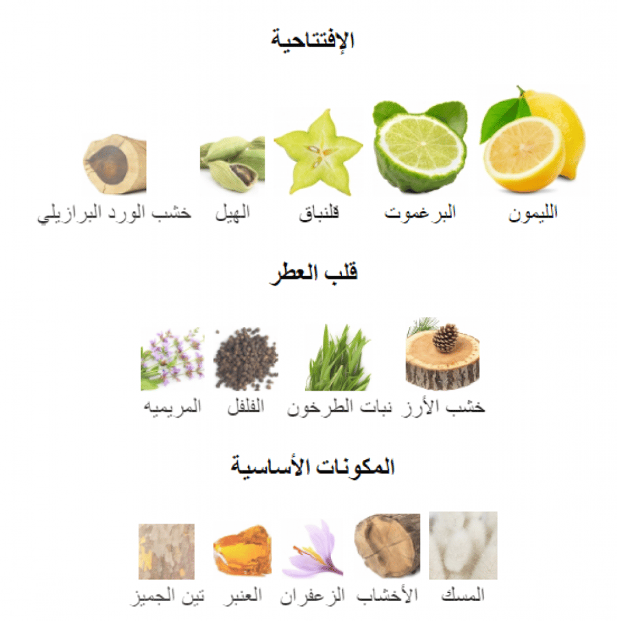النوتات العطرية ومكونات عطر فرزاتشي مان فرش