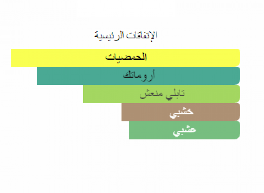 زيرجوف فيرو كازموراتي او دي بارفيوم 100 مل