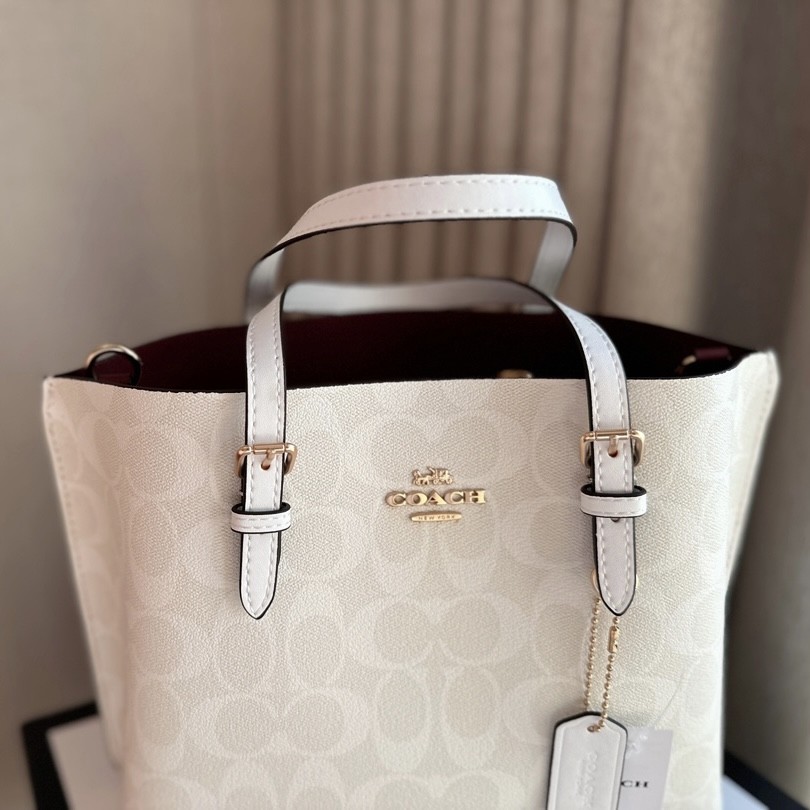 كوتش ماستر