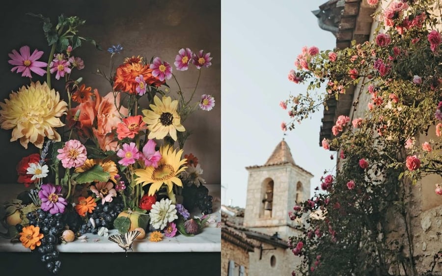 The Flowers of Provence
