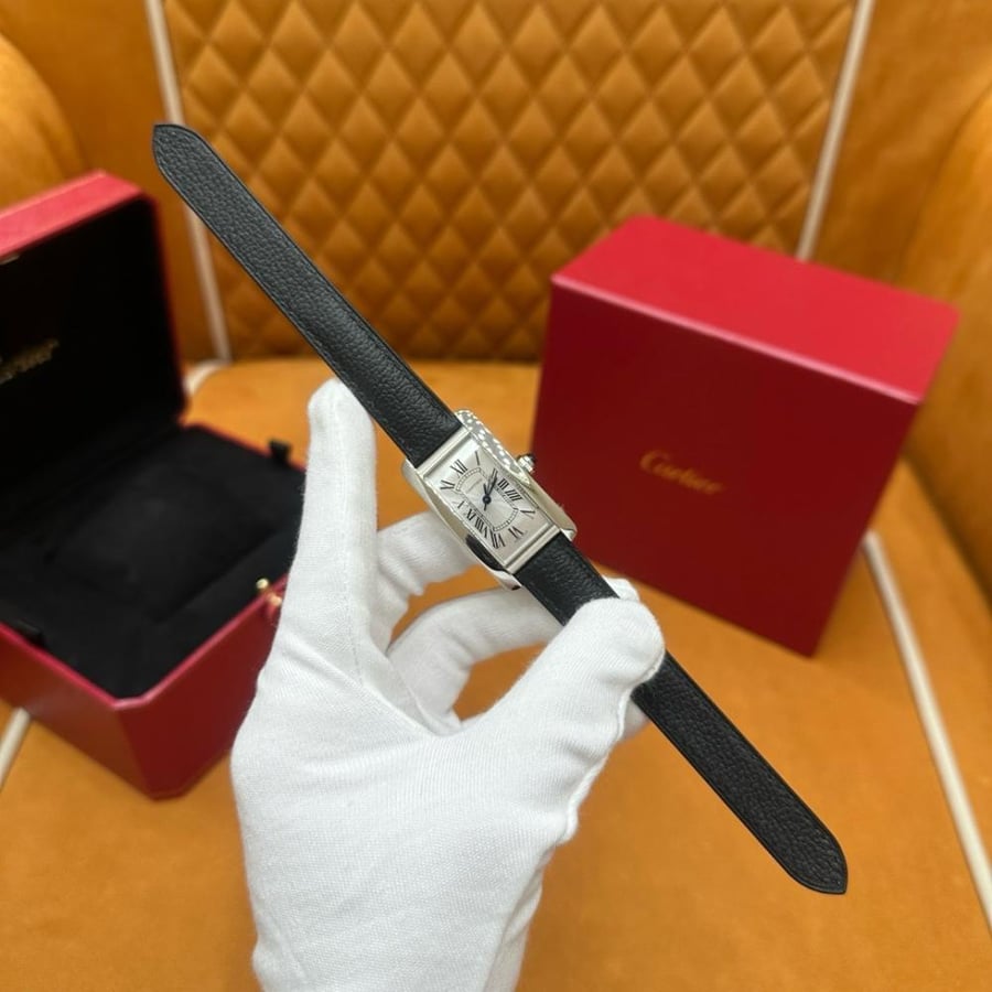 WGTA0352 كارتير