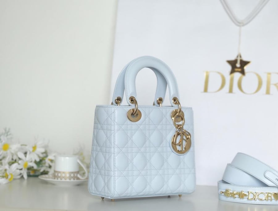 Lady dior 20 cm
