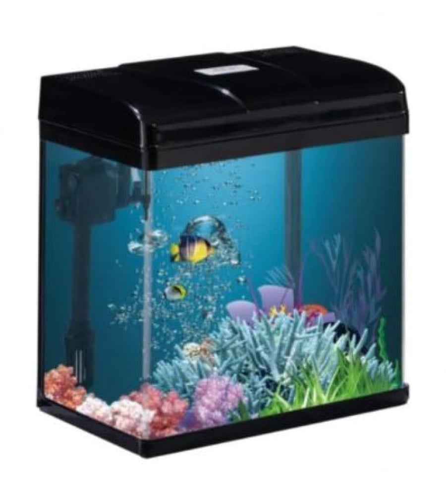 PF200 AQUARIUM FISH حوض أسماك الزينة