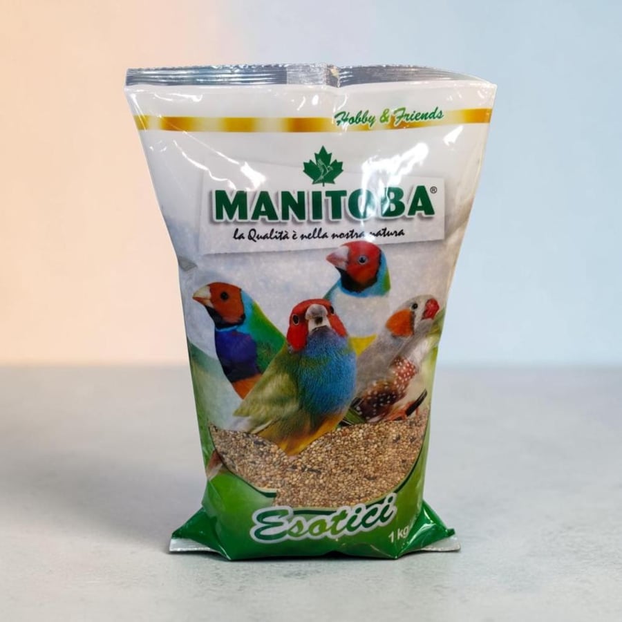 MANITOBA Exotic BIRD FOOD 1kg مانيتوبا فنيش أكل طيور الزينة