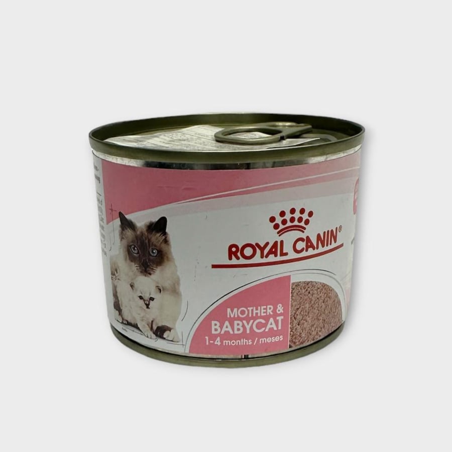 ROYAL CANIN FHN MOTHER & BABY CAT 195G أكل قطط رطب