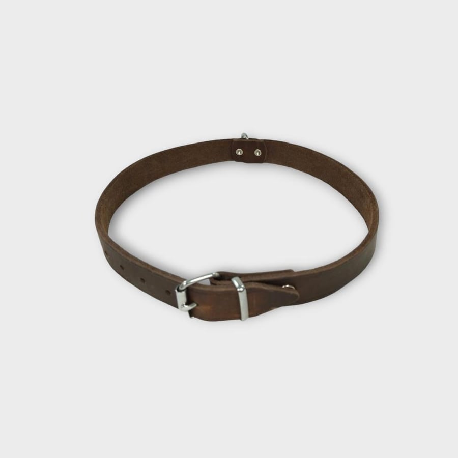 Rondo Collar NO:02037 42cm 16mm Brown PET COLLAR طوق حيوانات آليفة