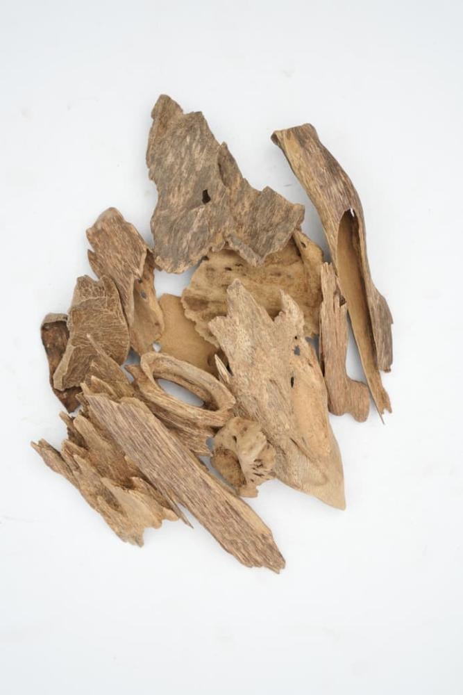 عود سومطري اتشية سوبر