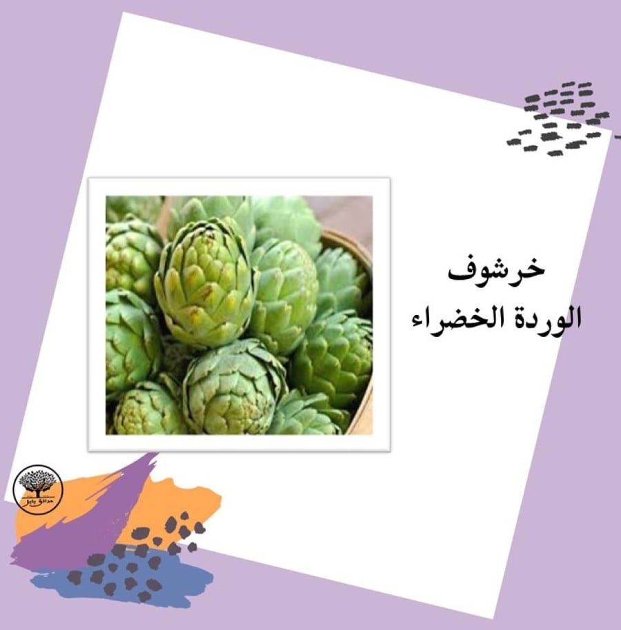 بذور خرشوف الوردة الخضراء متوارث
