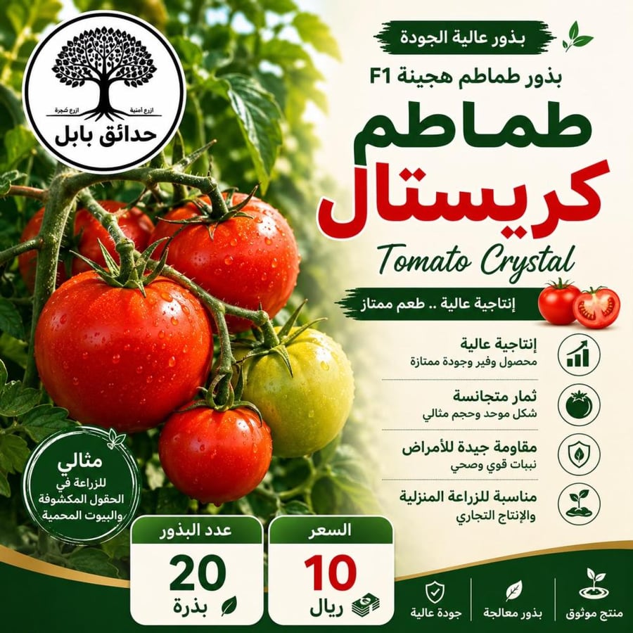 بذور طماطم كريستال F1