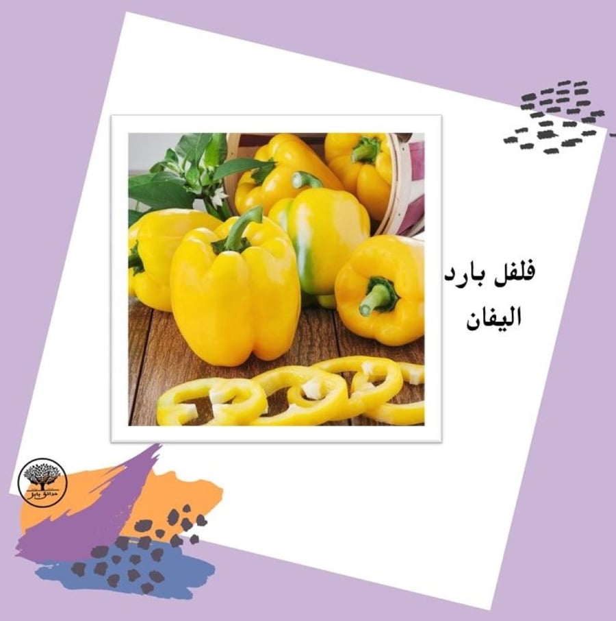 بذور فلفل بارد اليفان F1