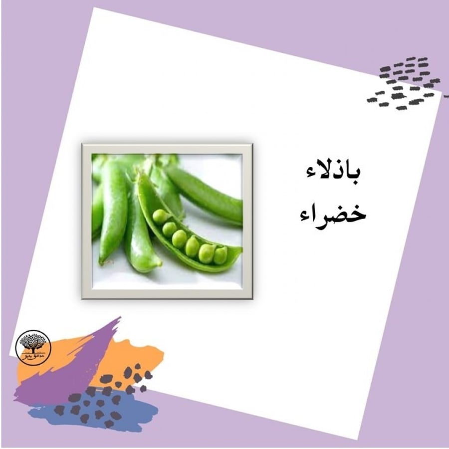 بذور باذلاء خضراء F1