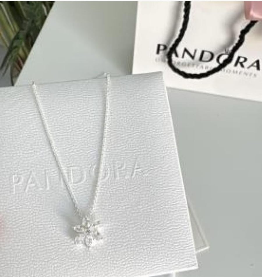 سلسال باندورا PANDORA فضيي   شامل الملحقات