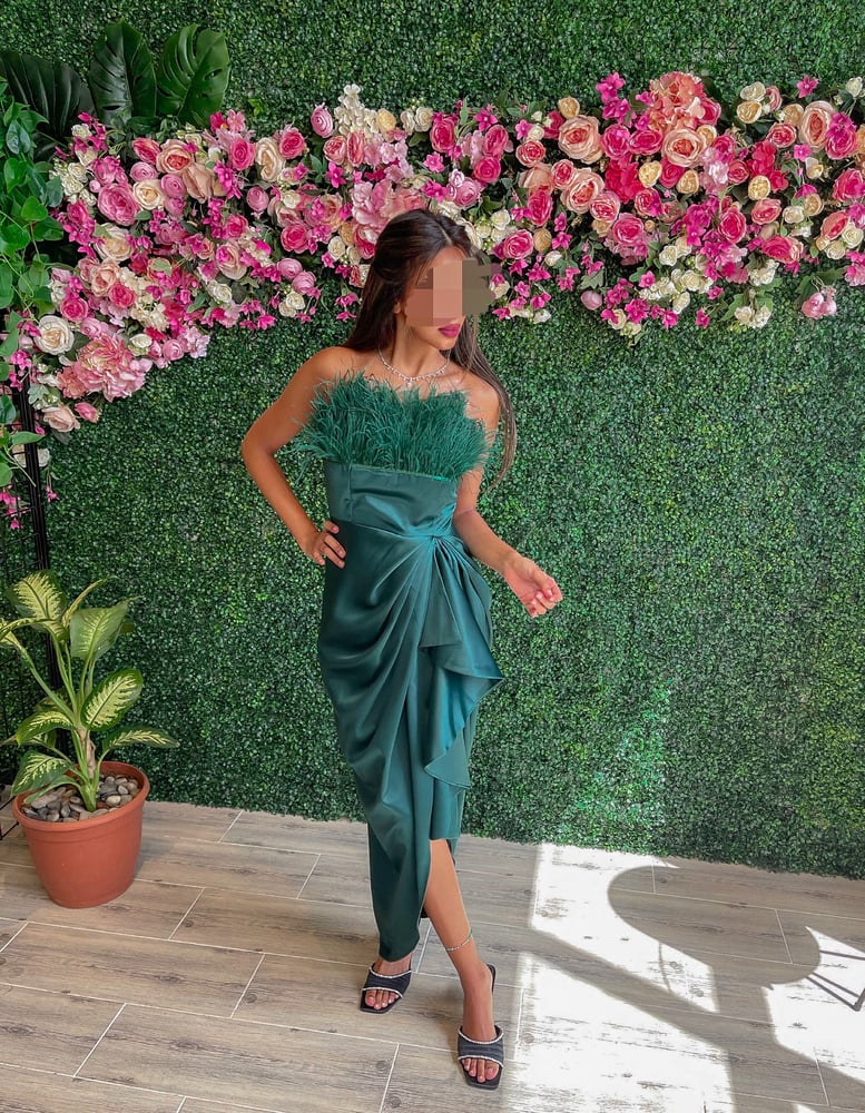 Plume green Dress