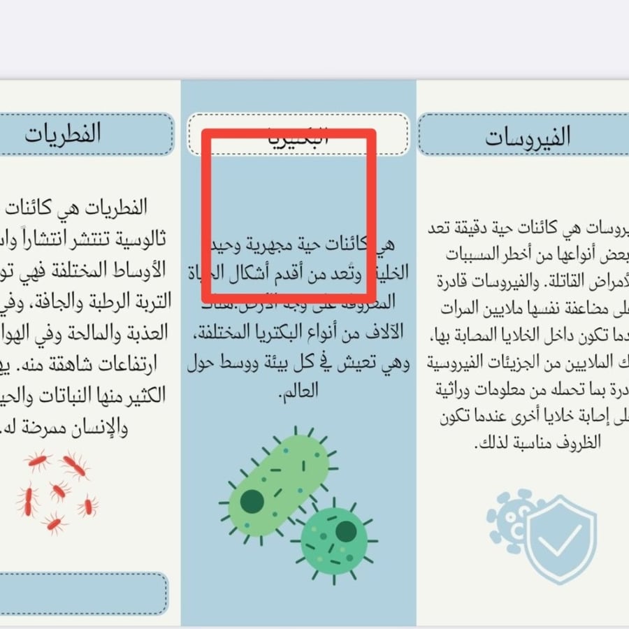 مطويه علوم رابع اسم الفطريات والبكتيريا