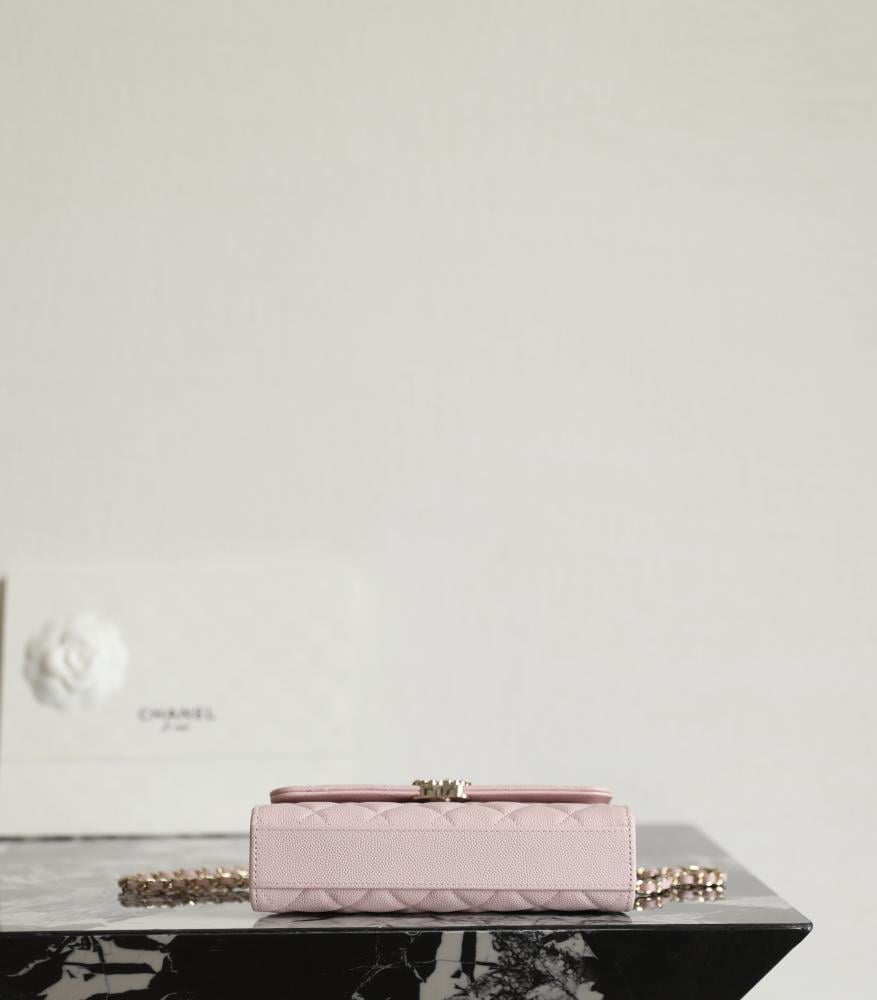Chanel 19cm