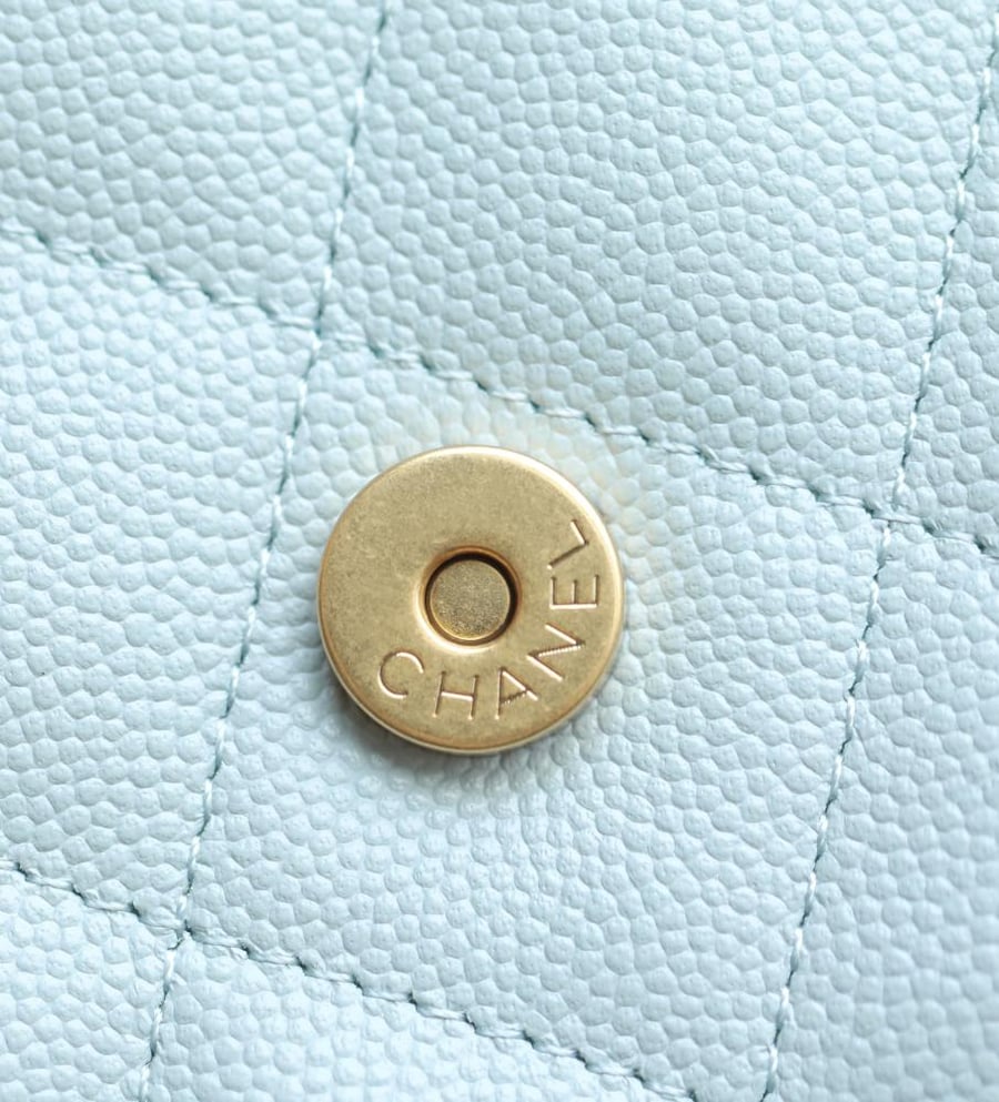 Chanel medium
