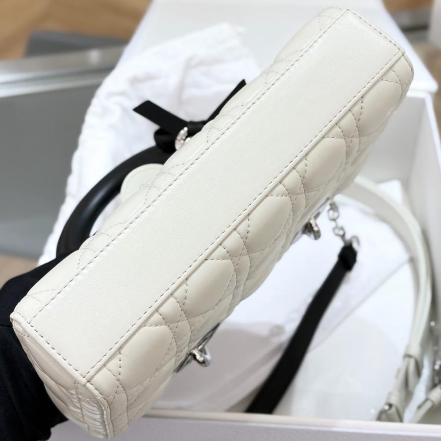 Dior 22cm