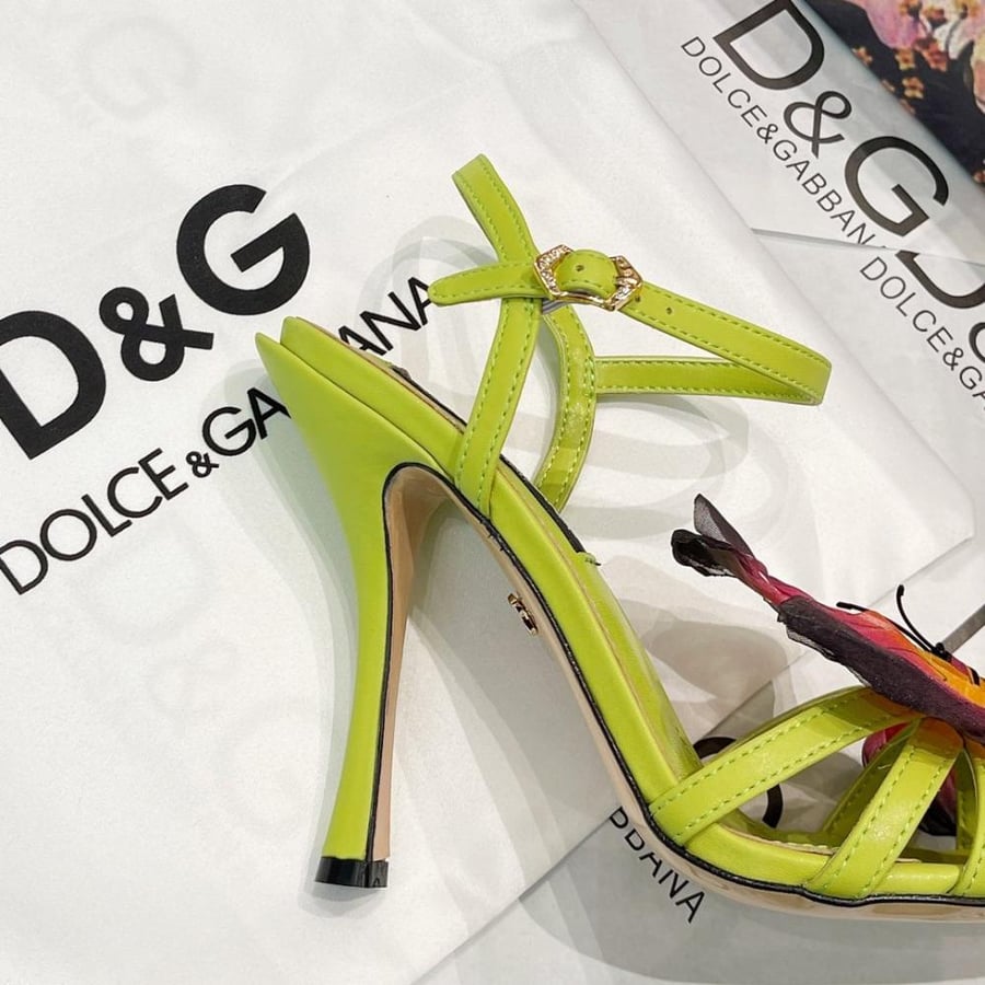 Dolce 10.5cm