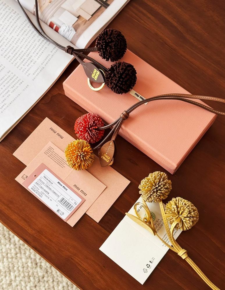 Miu Miu Accessories