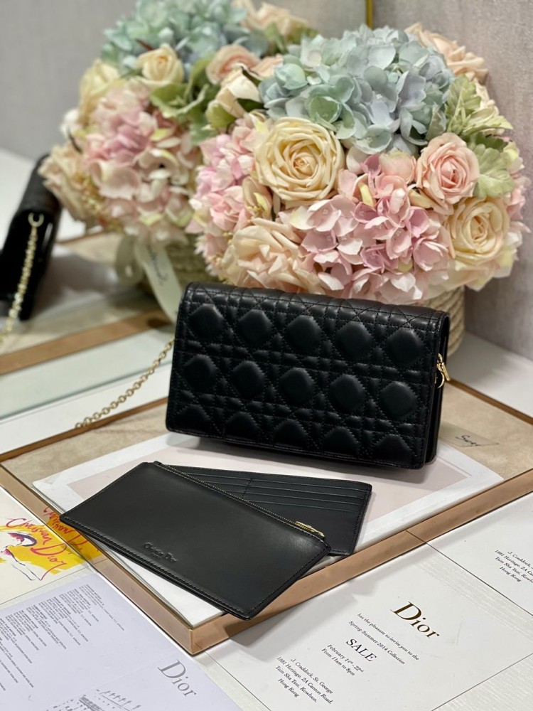 Dior 22cm