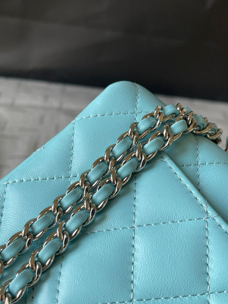 Chanel 20cm