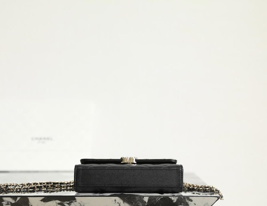 Chanel 19cm