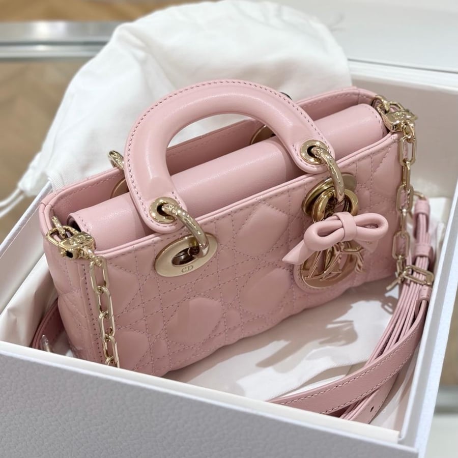 Dior 19cm