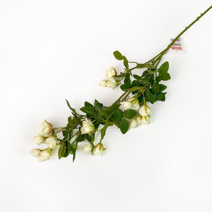 A branch of white roses