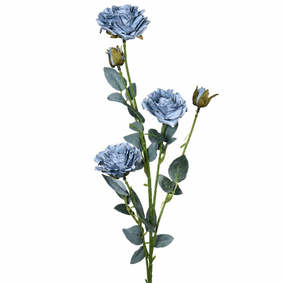 غصن روز ازرق