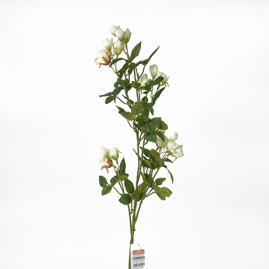 A branch of white roses