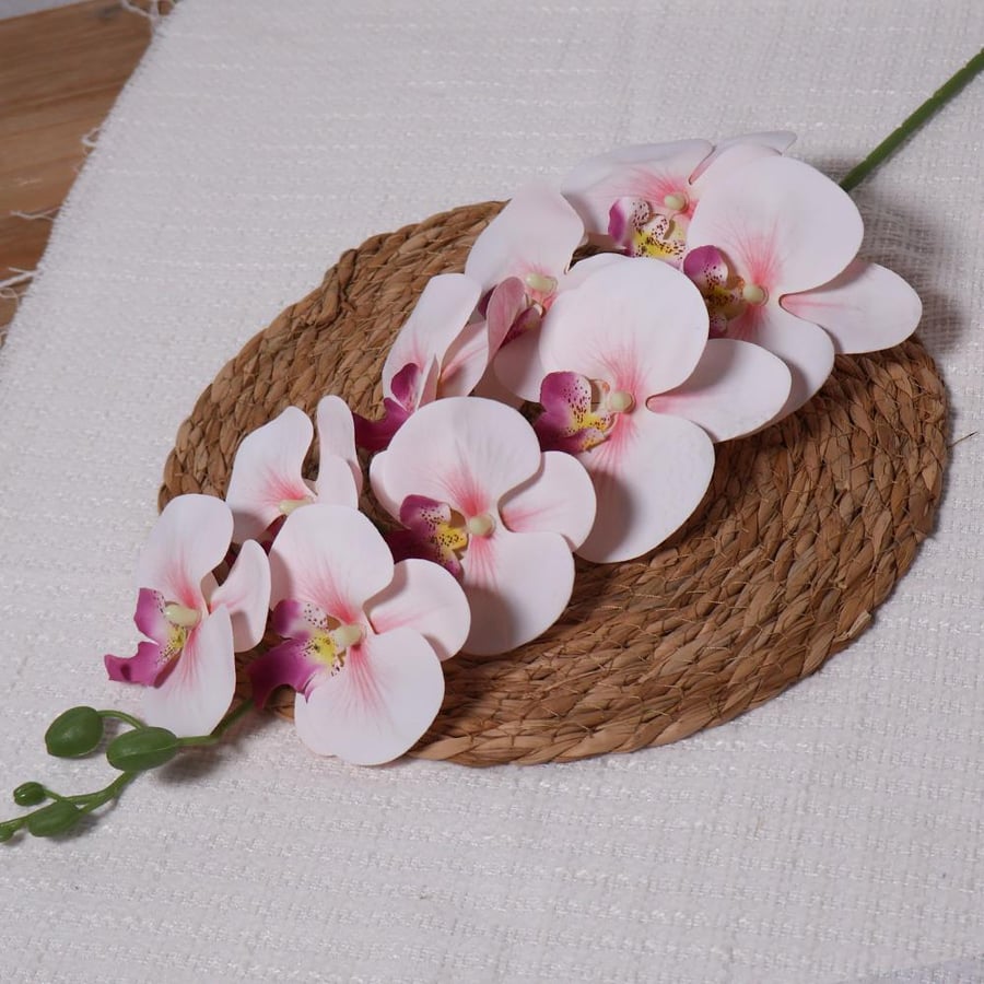 Soft natural texture pink orchid