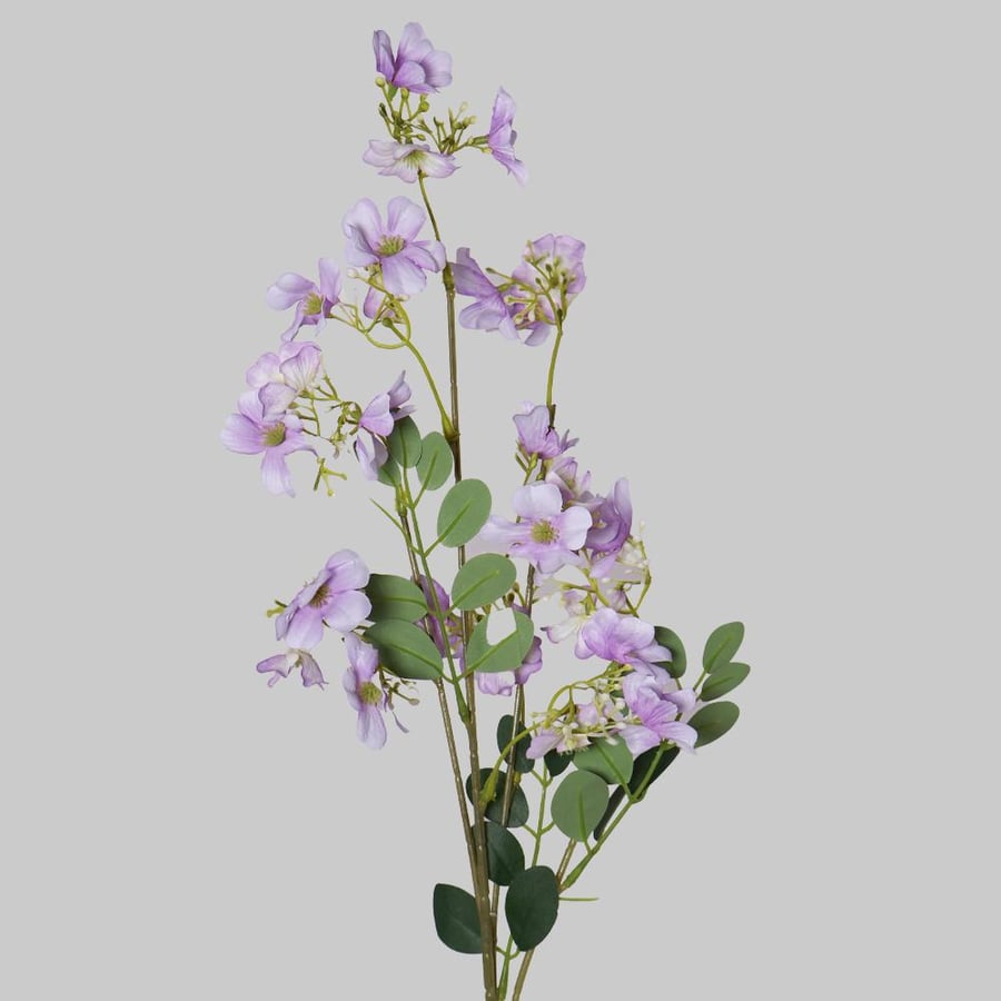 A branch with mauve flowers