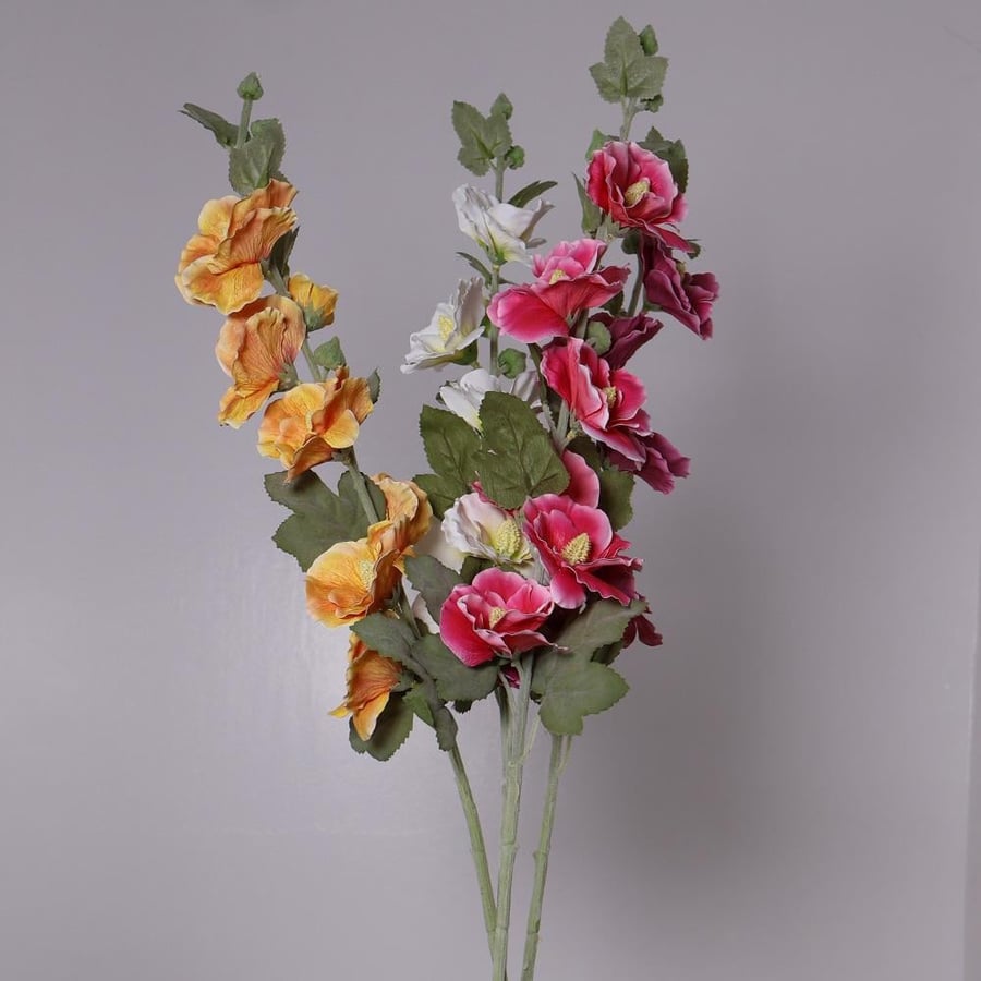 A large white rose branch