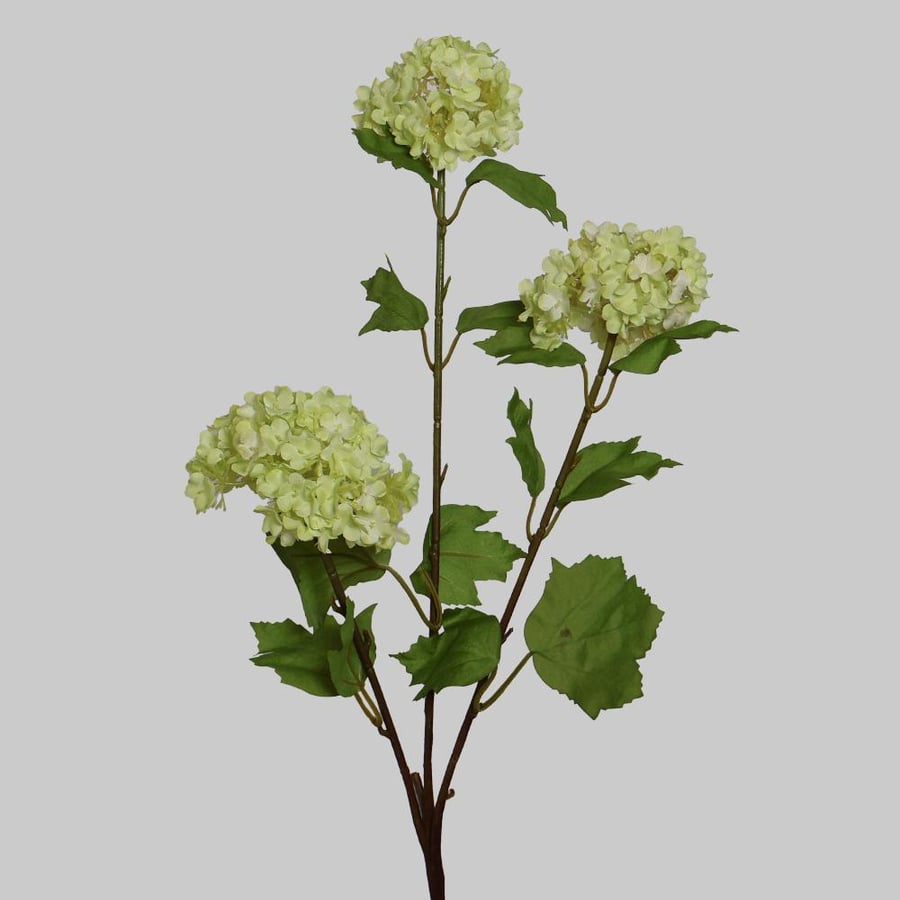 Green Hadrinja branch